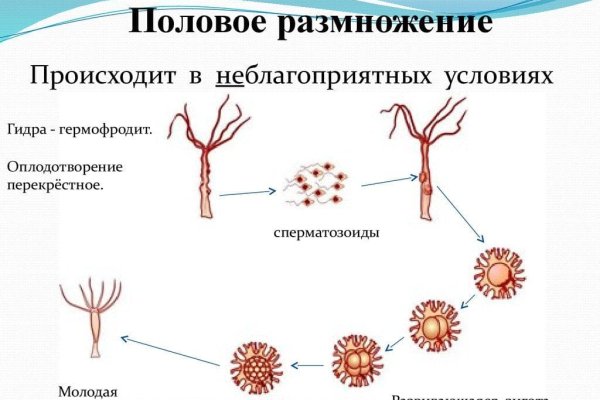 Кракен даркнет вход