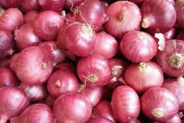 Кракен зеркало onion